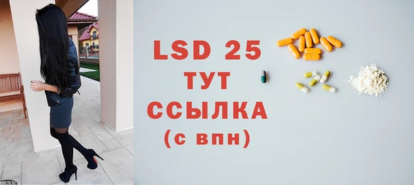 ГАЛЛЮЦИНОГЕННЫЕ ГРИБЫ Чегем