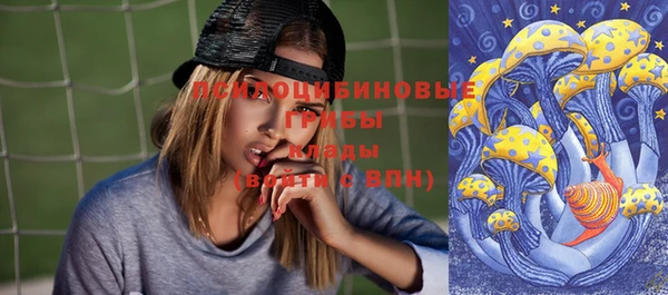 ГАЛЛЮЦИНОГЕННЫЕ ГРИБЫ Чегем