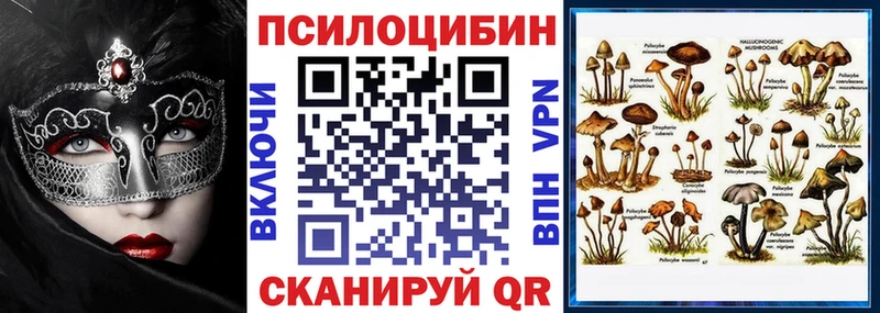 mega вход  продажа наркотиков  Ухта  Псилоцибиновые грибы Cubensis 